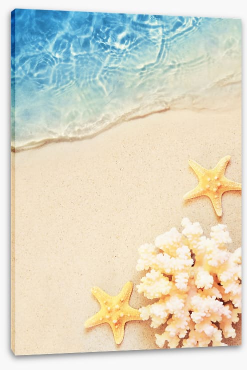 Yellow starfish sands