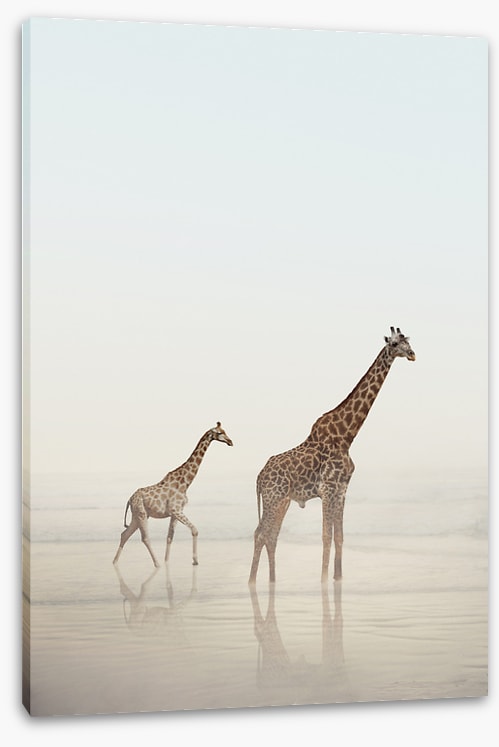Beach safari