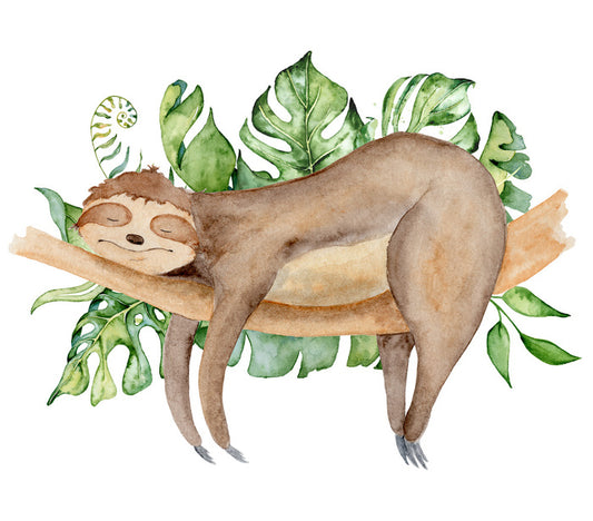 Sleeping sloth