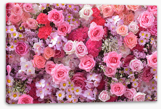Party in pink