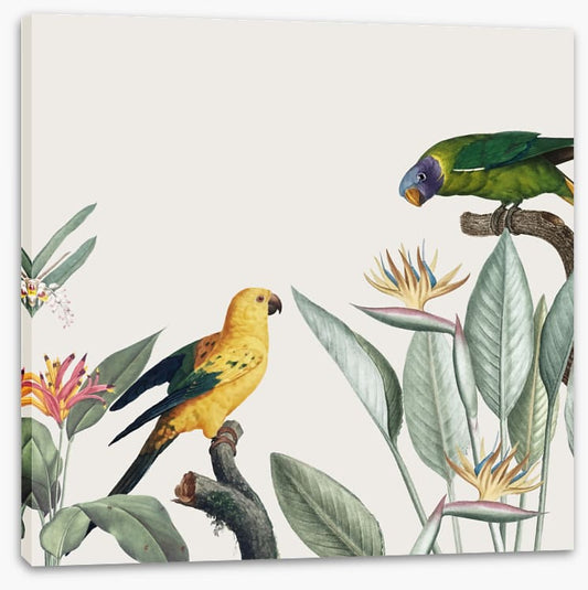 Feathered friends II