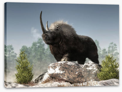 Woolly rhino watch