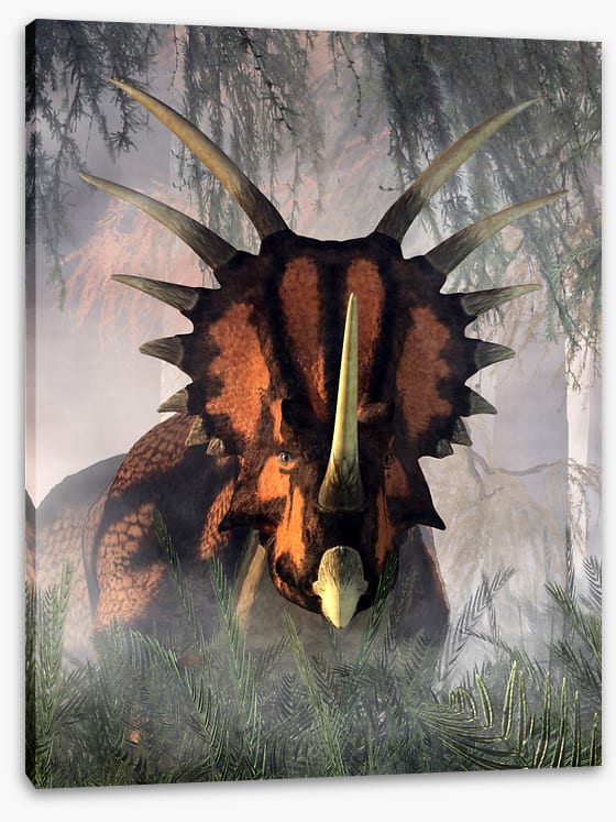 Styracosaurus surprise
