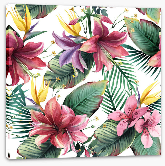 Aloha blooms