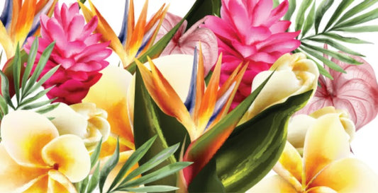 Plants of paradise