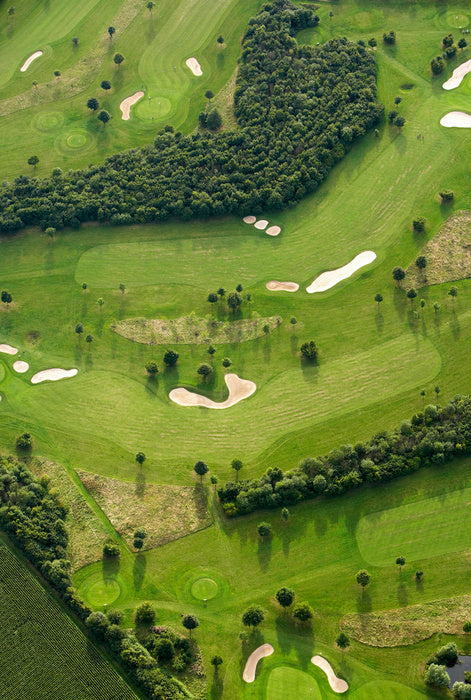 18 holes of joy