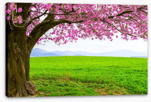 Below the blossom