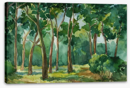 Forest of green