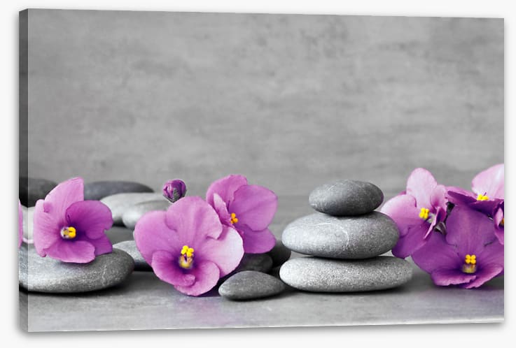 Blooms and balance
