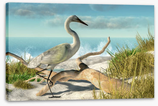 White egret beach