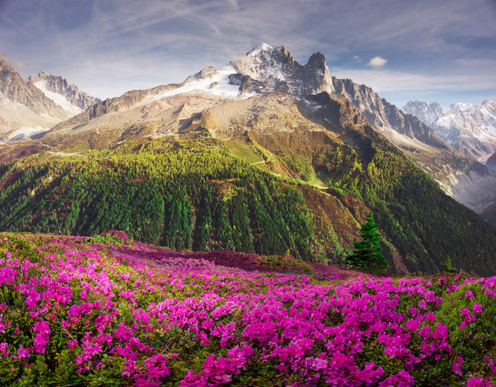 Mountains