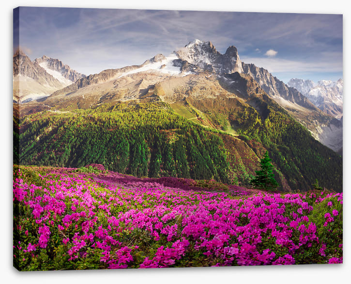 Mountains