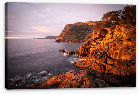 Golden granite, Freycinet