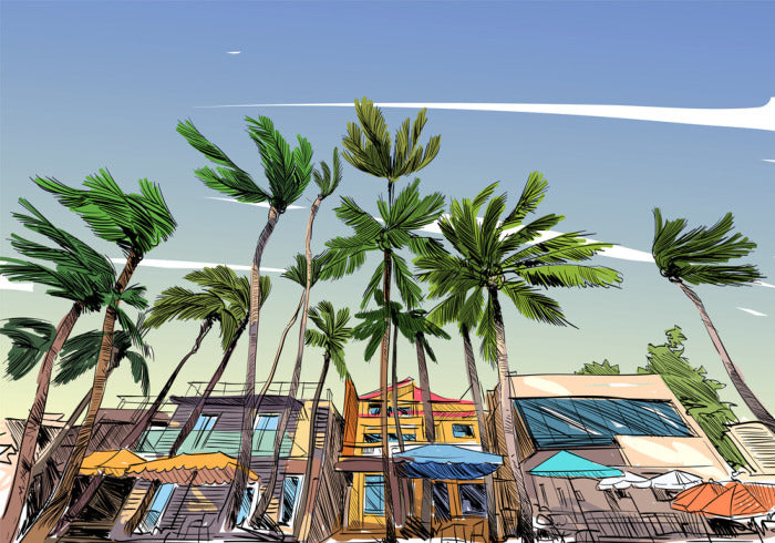 Beach House
