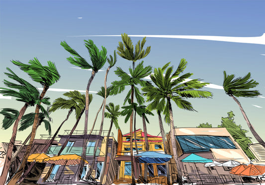 Beach House