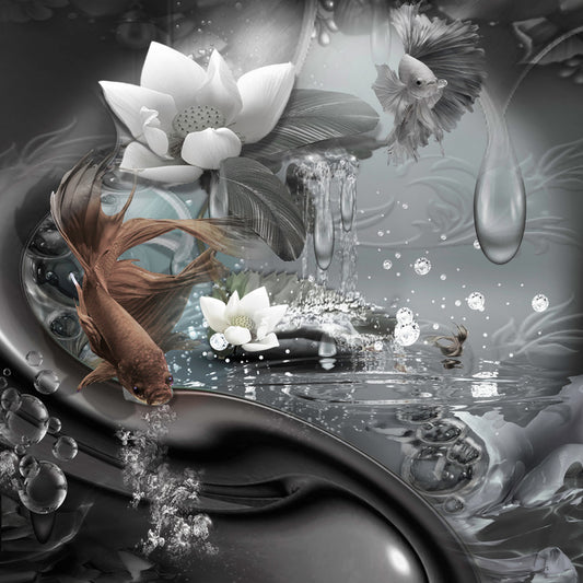 The curious lagoon
