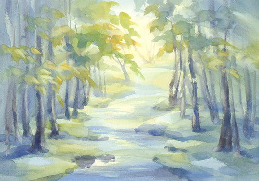 Spring river shadows