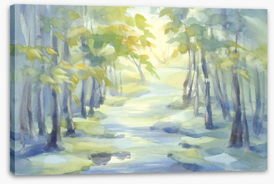 Spring river shadows