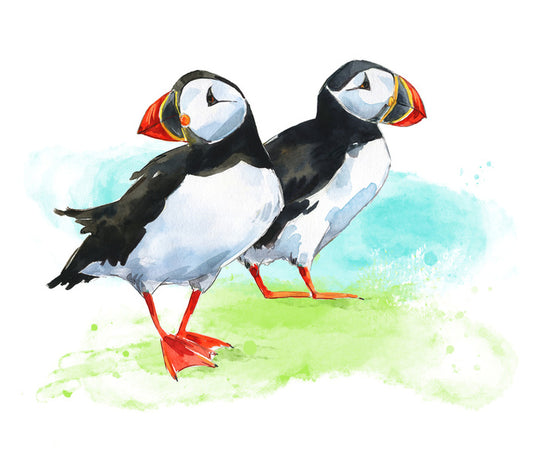 Puffin pair