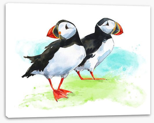Puffin pair
