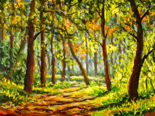 In the sunny forest