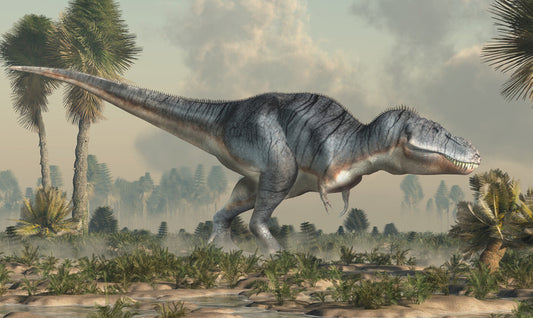 Tyrannosaurus tramp