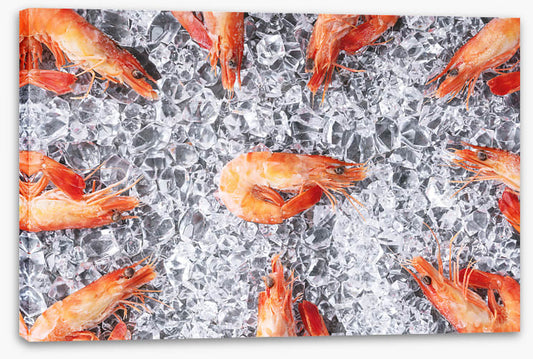 Prawn in the middle