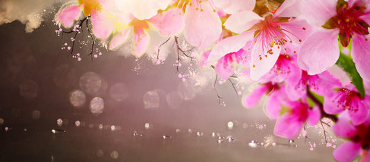Spring shimmer