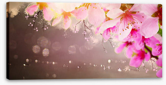 Spring shimmer