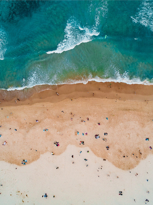 Bondi birds eye