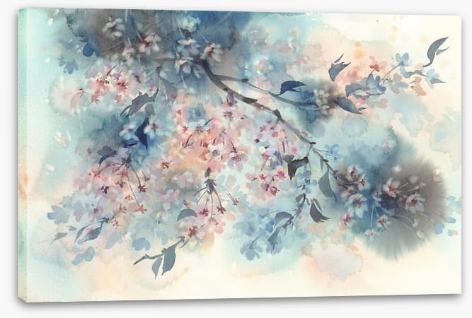 Sakura shower