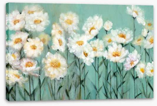 Pushing up daisies