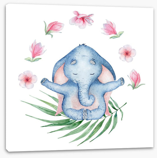 Elephants
