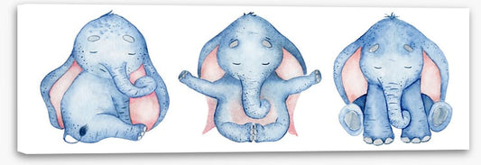 Elephants