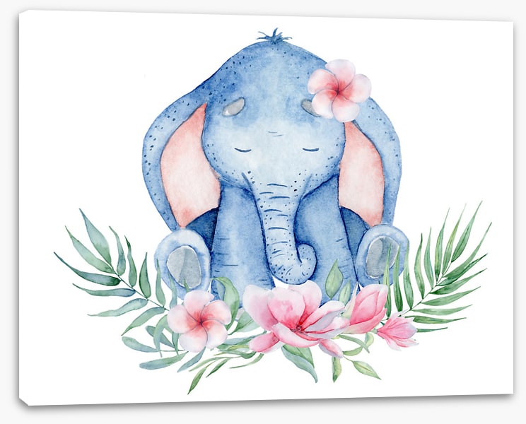 Elephants