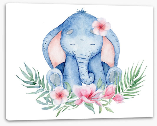 Elephants