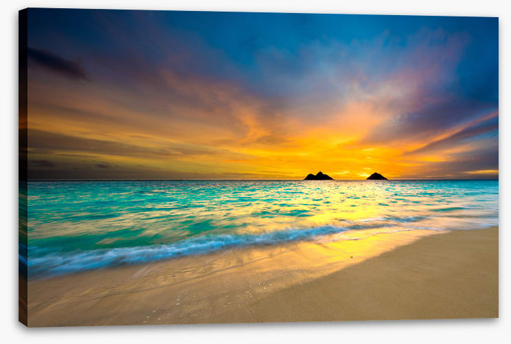 Daybreak delight