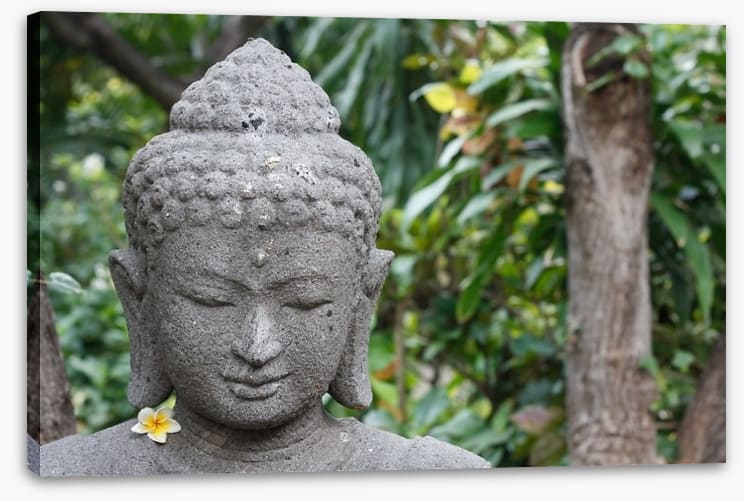 Frangipani buddha