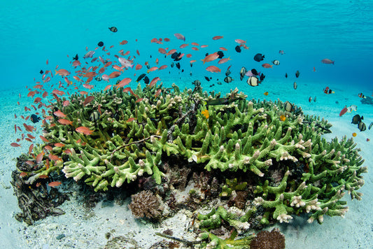 Underwater