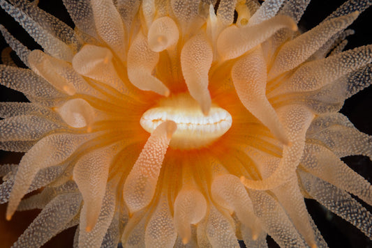Underwater