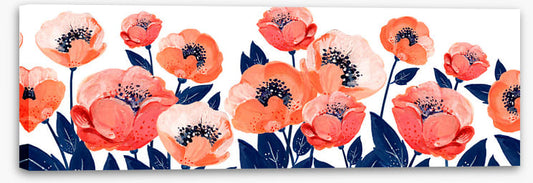 The anemone garden