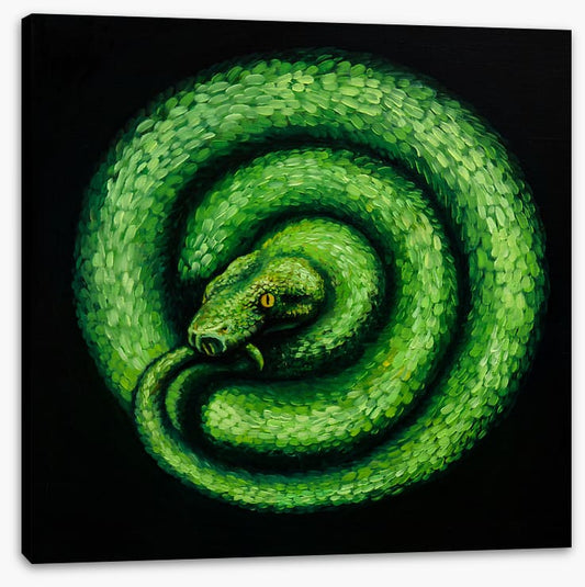 Green serpent spiral