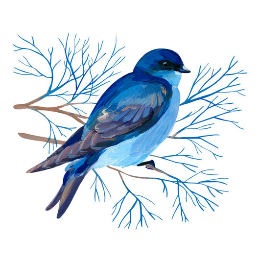 Bluebird branch