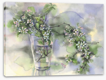 A glass of blossom