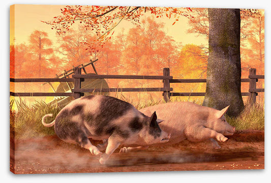 Animals