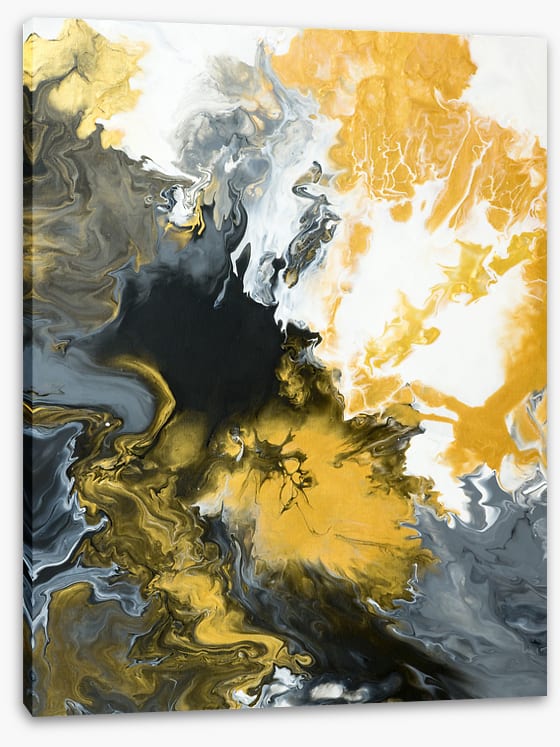 Onyx vision