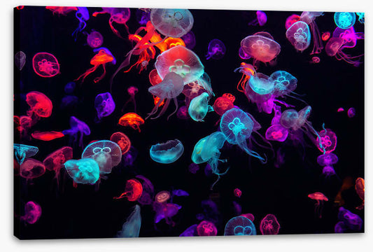Neon jellies