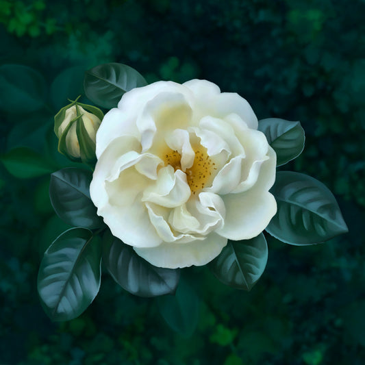 The garden pearl