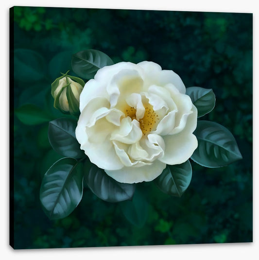 The garden pearl