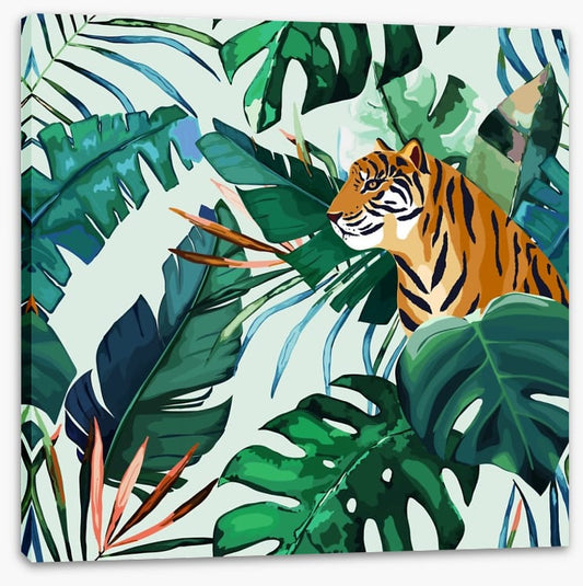 Animals